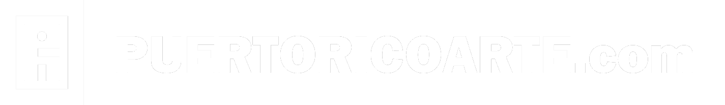 www.puertoricoarte.com